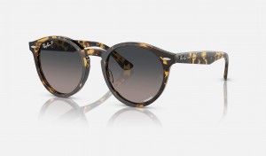 Ray Ban Larry Women's Sunglasses Grey | ESTBP-3625