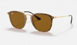 Ray Ban RB2448n Women's Sunglasses Brown | YIBXP-8574