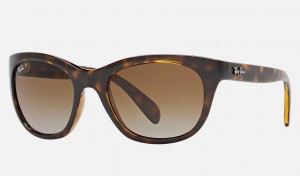 Ray Ban RB4216 Women's Sunglasses Brown | BYUEH-7596