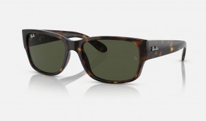 Ray Ban RB4388 Women's Sunglasses Green | EIYCO-6231