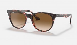 Ray Ban Wayfarer Ii Fleck Women's Sunglasses Brown | YAJWS-3529